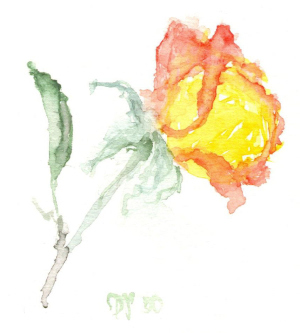 Aquarell Roserotorange